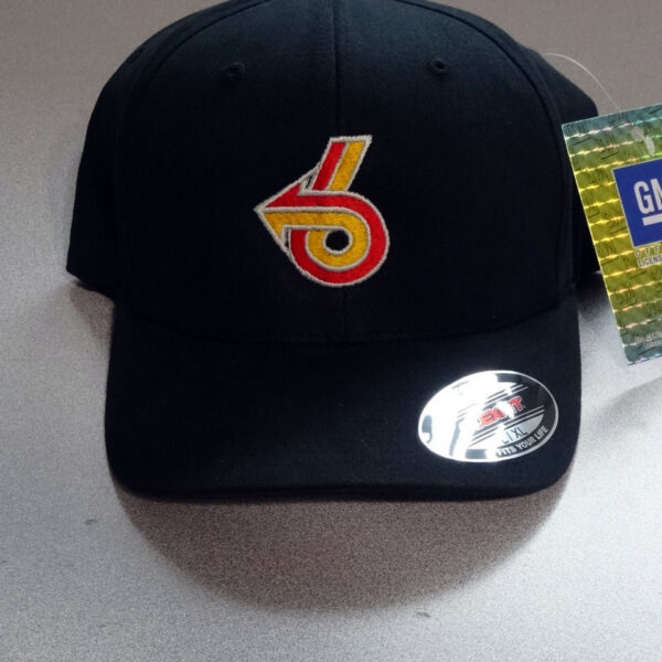 Stylish hat with embroidered design