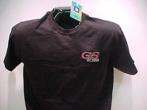 GIS logo on black t-shirt