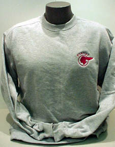 Gray sweatshirt with logo on mannequin